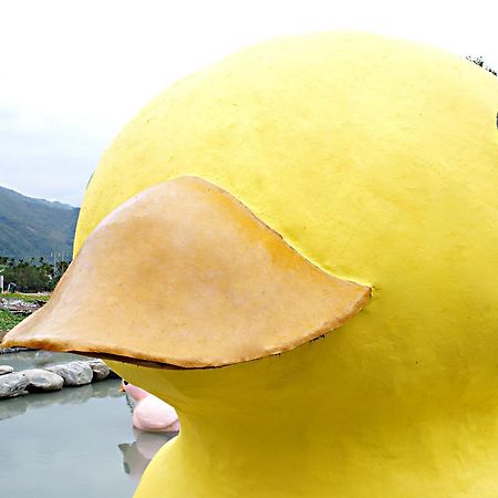 依比鴨鴨水岸會館 Ducking House Bed & Breakfast Ruisui Ngoại thất bức ảnh