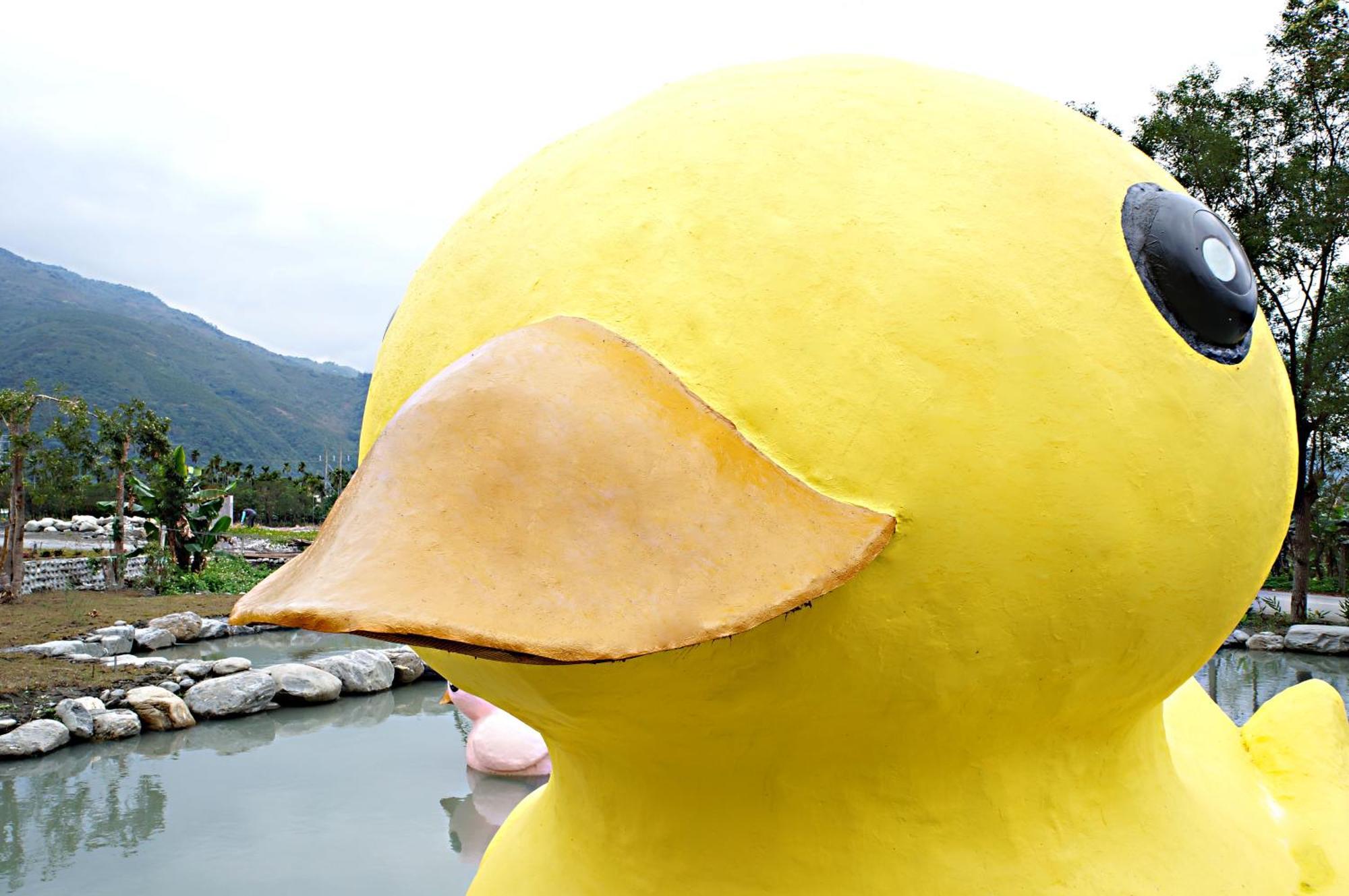 依比鴨鴨水岸會館 Ducking House Bed & Breakfast Ruisui Ngoại thất bức ảnh